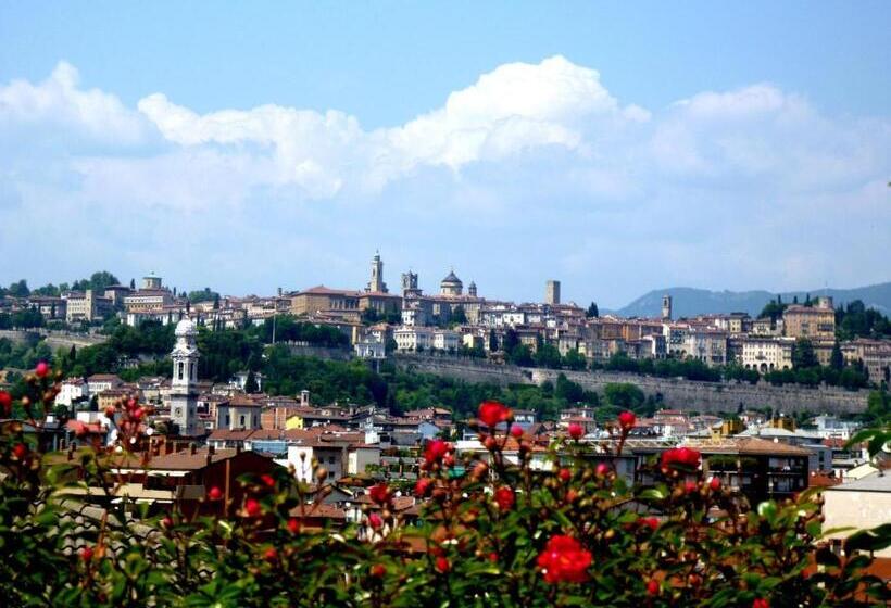 اتاق پنت هاوس, Citta Dei Mille