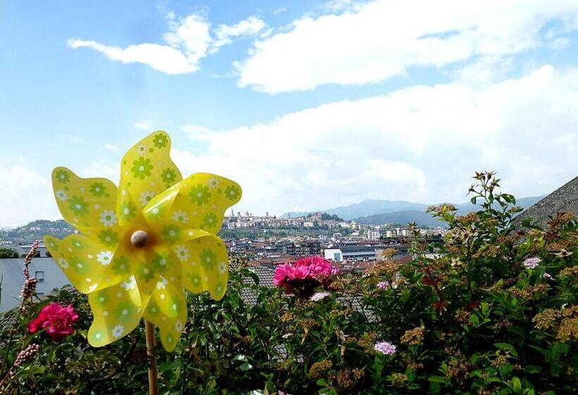 اتاق پنت هاوس, Citta Dei Mille