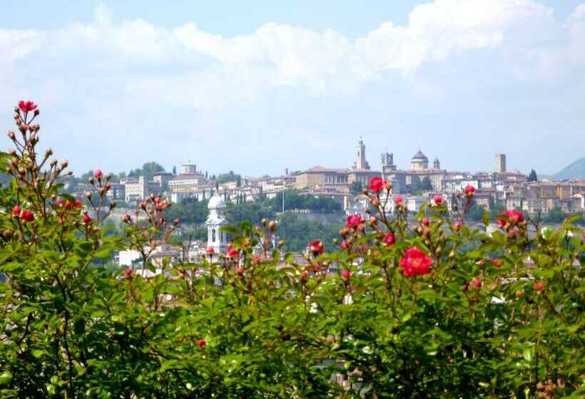 اتاق استاندارد, Citta Dei Mille