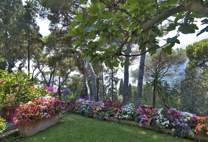 クラシックルーム, Villa Brunella