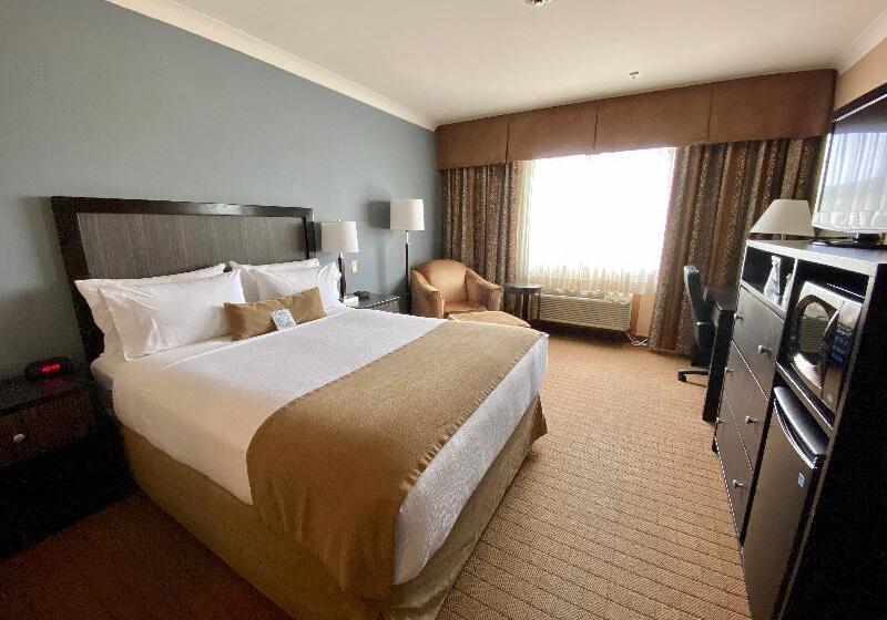 سوییت جونیور, Bernini Palace