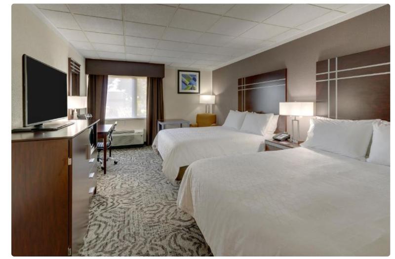 اتاق لوکس, Bernini Palace