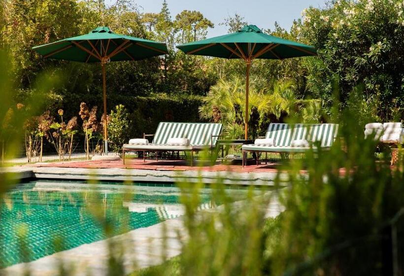 جناح مطلّ علي حمام السباحة, California Park