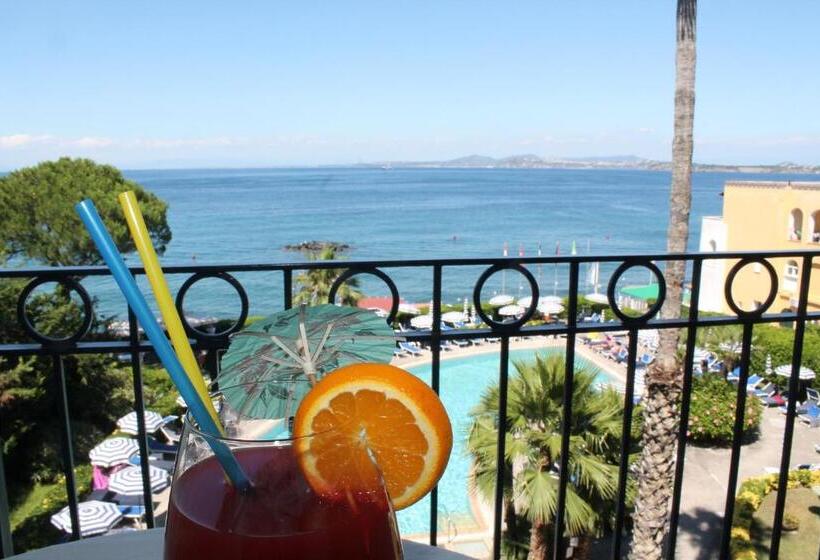 海景标准间带阳台, Terme Alexander