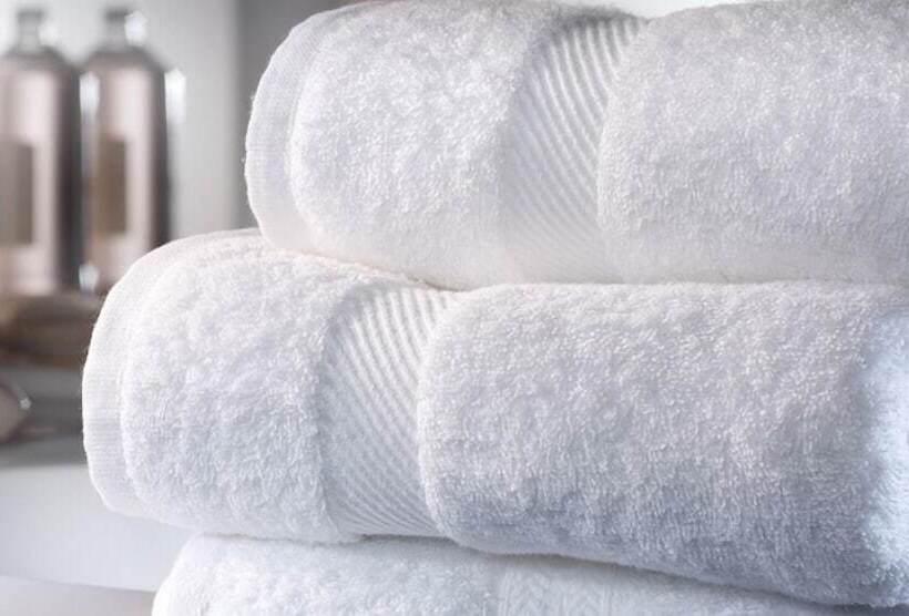 اتاق استاندارد چهار تخته, Boni Cerri