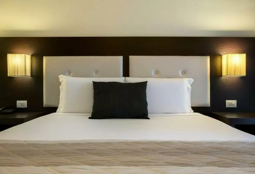 Chambre Standard, Executive