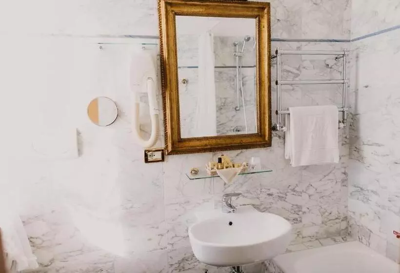 اتاق استاندارد یک نفره, Metropole