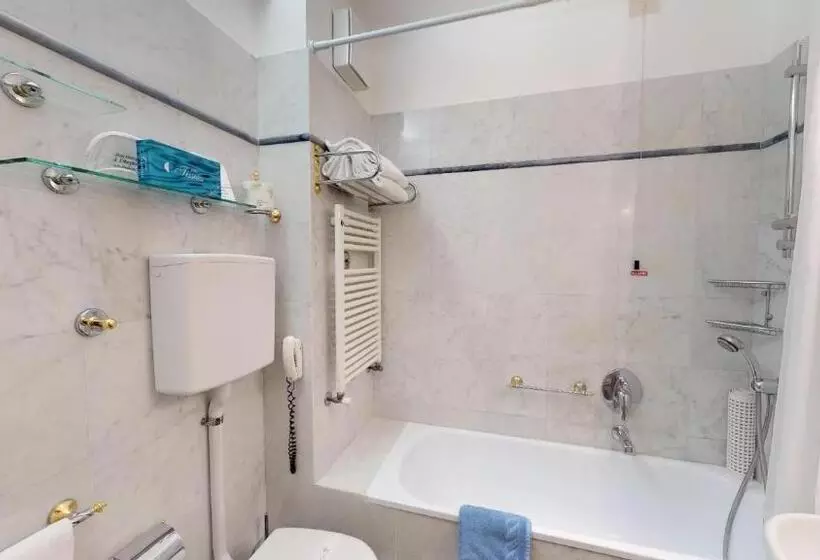 اتاق استاندارد, Metropole