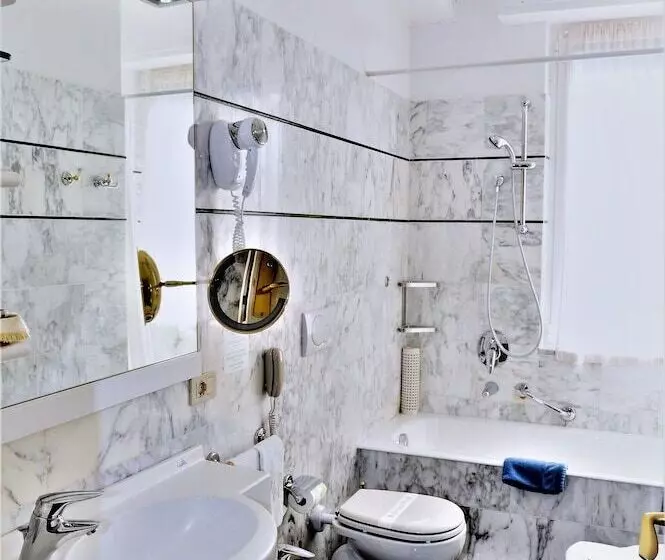 اتاق استاندارد یک نفره, Metropole
