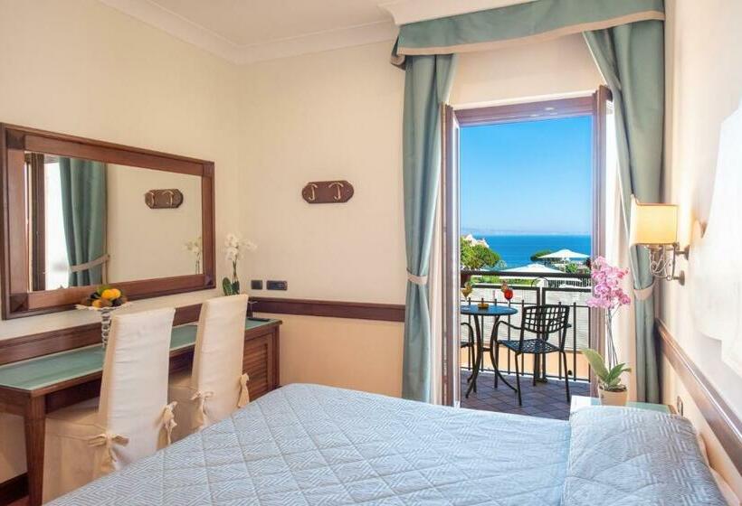 스탠다드 룸 풀장 전망, Michelangelo