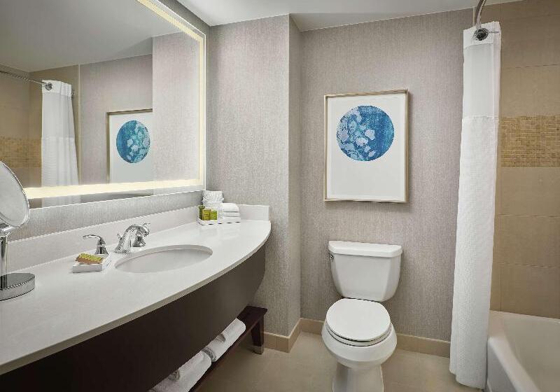 غرفة إقتصادية, Plaza