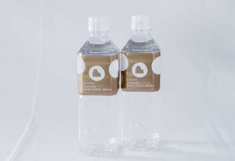 غرفة قياسية, Fukuyama New Castle