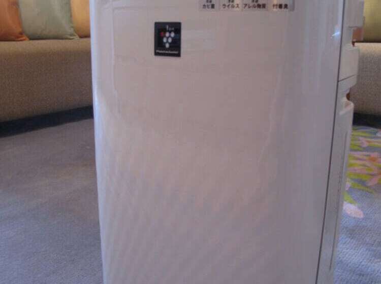 غرفة قياسية, Fukuyama New Castle