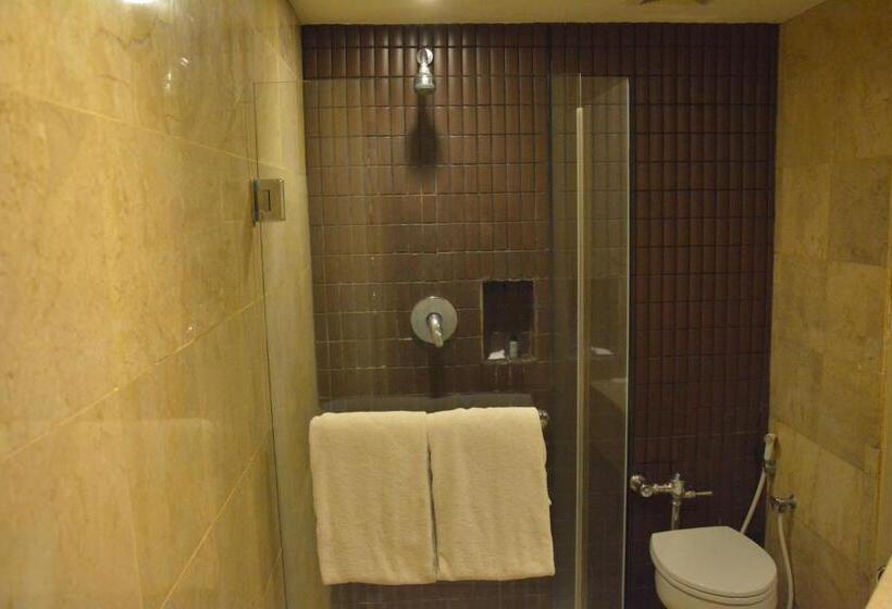 غرفة سوبيريور, Garden Palace