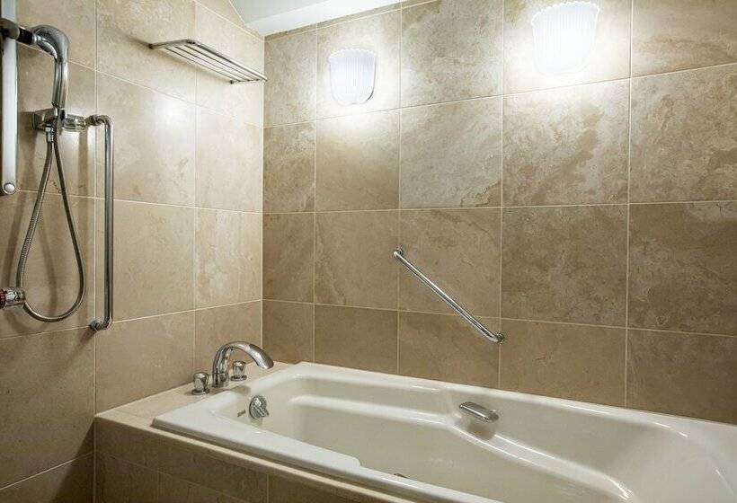 套房, New Otani Hakata