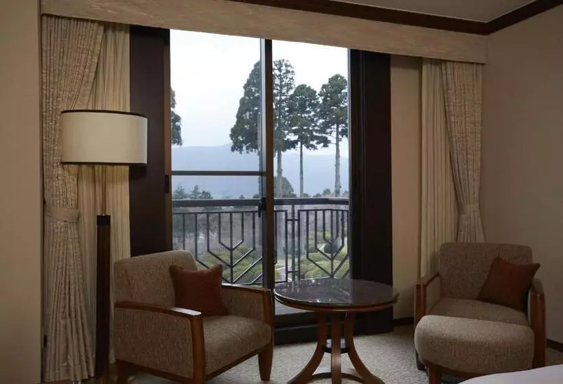 اتاق استاندارد, Odakyu Hotel De Yama