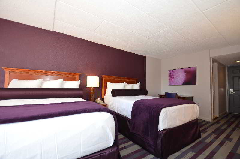 豪华套房, The Oberoi New Delhi