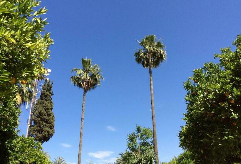 Superior Room with Terrace, Chems