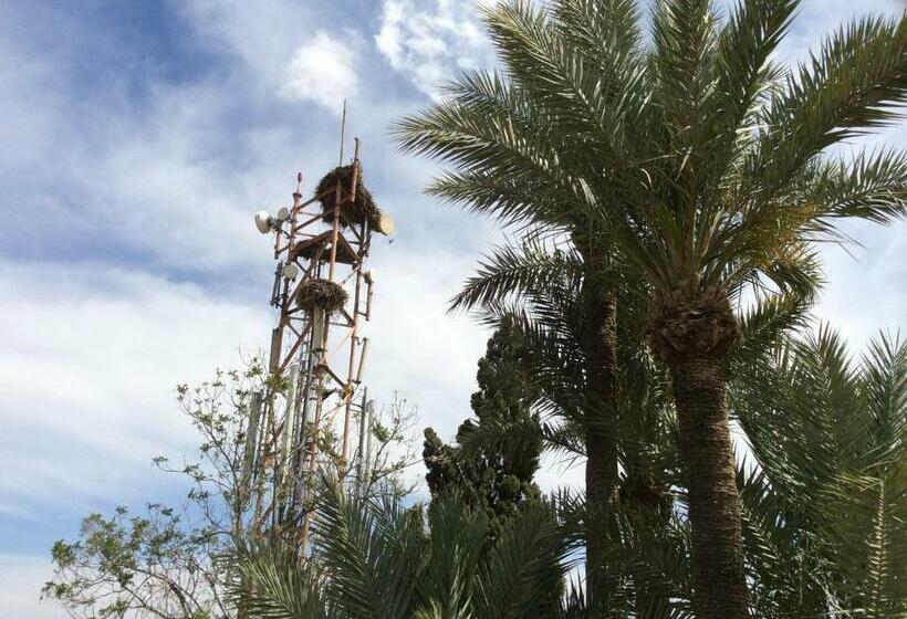 Superior Room with Terrace, Chems