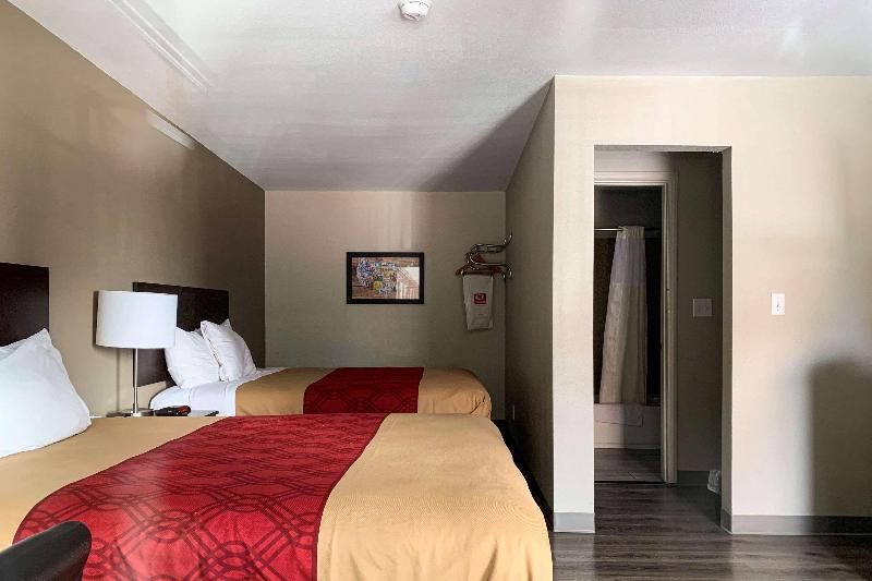 行政单人间, Kenzi Solazur