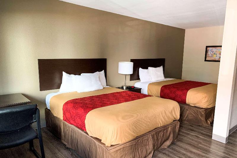 行政单人间, Kenzi Solazur