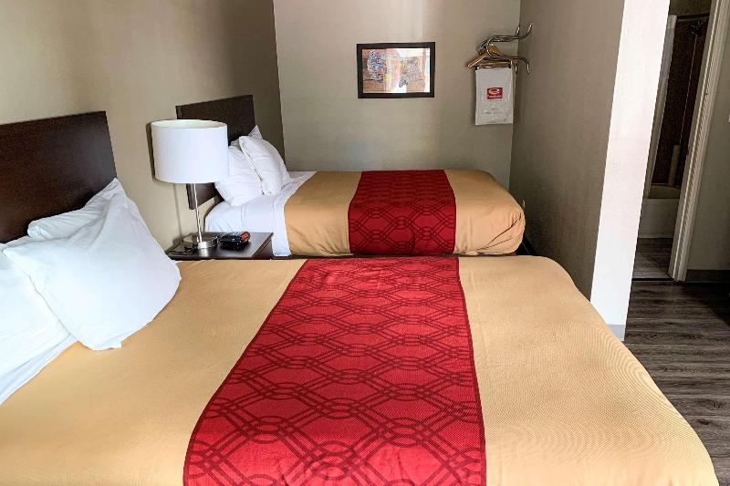 行政单人间, Kenzi Solazur