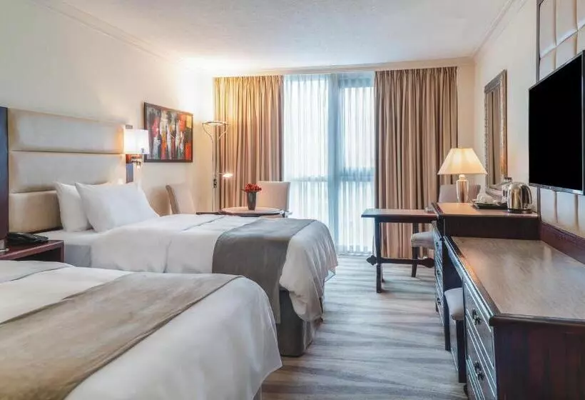 プレミアムルーム, Landmark Amman Hotel & Conference Center