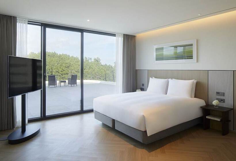 Люкс Клуб, Parnas Hotel Jeju