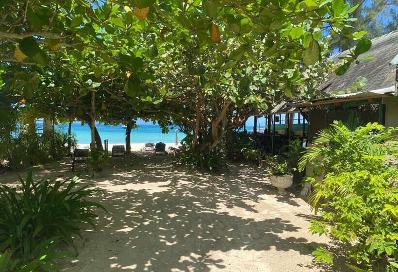 Standard Room, Secret Cabins At Firefly Beach