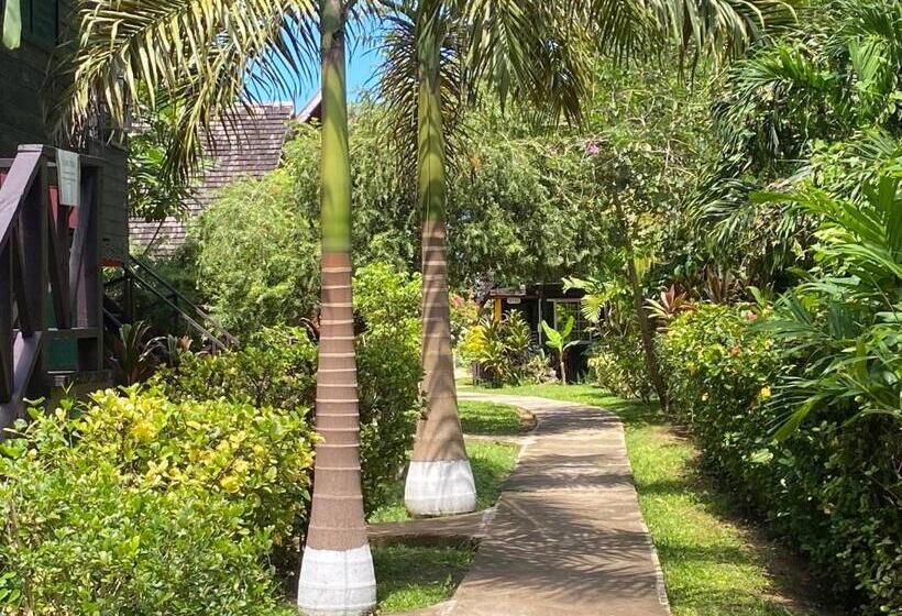 اتاق استاندارد, Secret Cabins At Firefly Beach