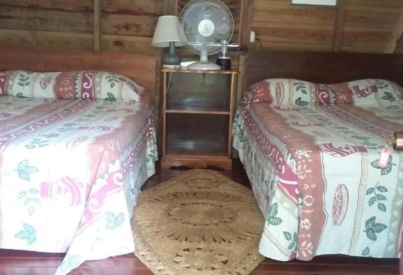 اتاق استاندارد, Secret Cabins At Firefly Beach