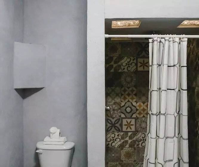 Cameră Standard Individuală, Colon Merida