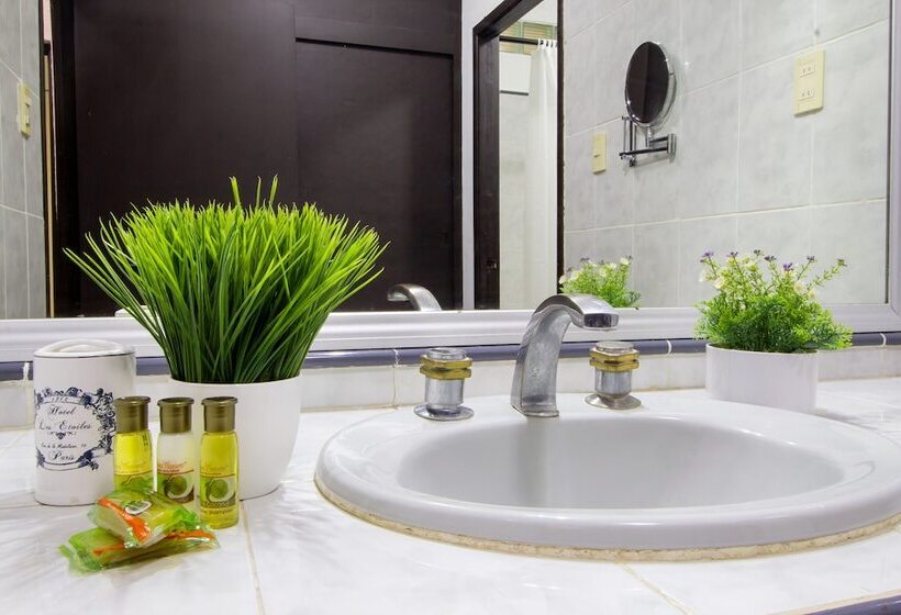 סוויטה דלוקס, Colon Merida