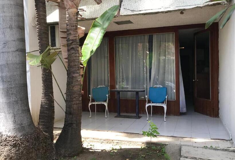 Номер Стандарт, Las Hamacas