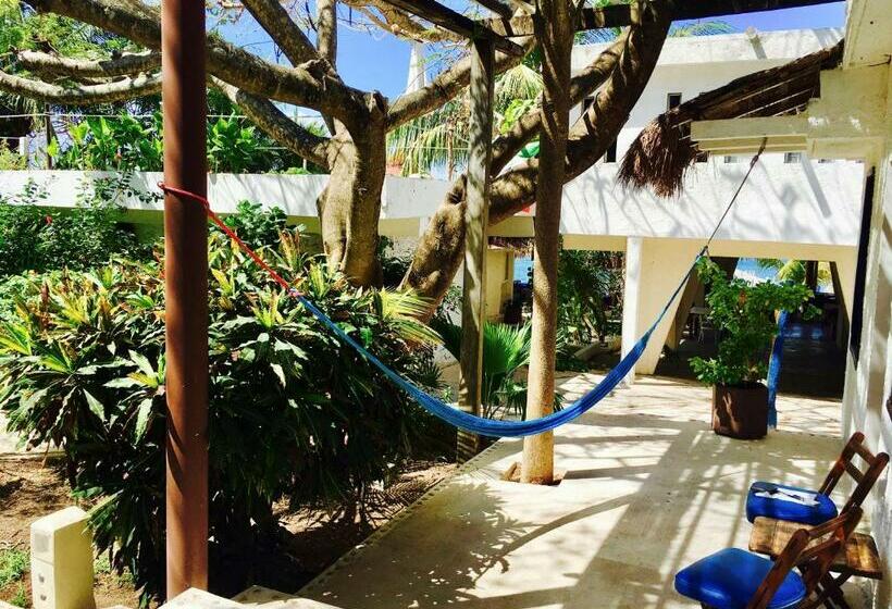 غرفة قياسية, Maria S Kan Kin