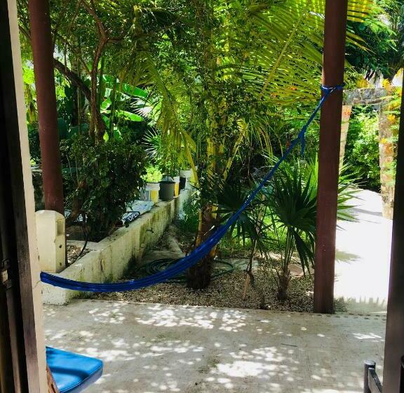 غرفة قياسية, Maria S Kan Kin