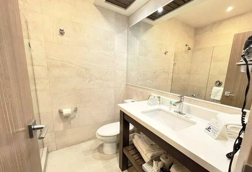 اتاق سوپریور, San Nicolas Hotel Casino