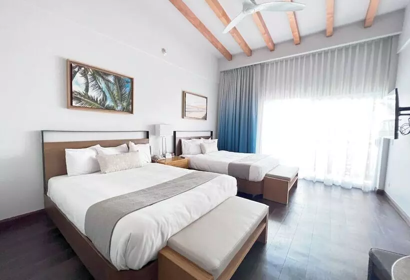 سوییت جونیور, San Nicolas Hotel Casino
