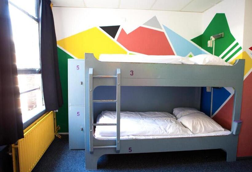 エコノミールーム, The Flying Pig Downtown