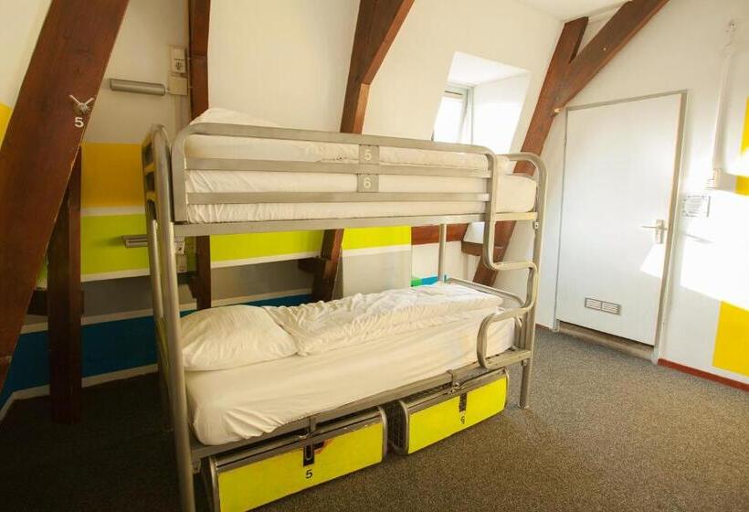 エコノミールーム, The Flying Pig Downtown