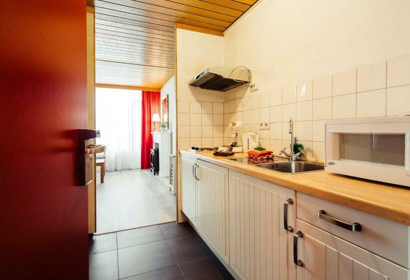 דירת שני חדרים, Badhotel Rockanje