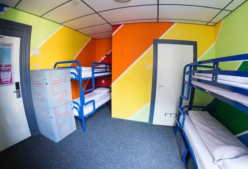 ルームシェアのワンベッド, The Flying Pig Downtown