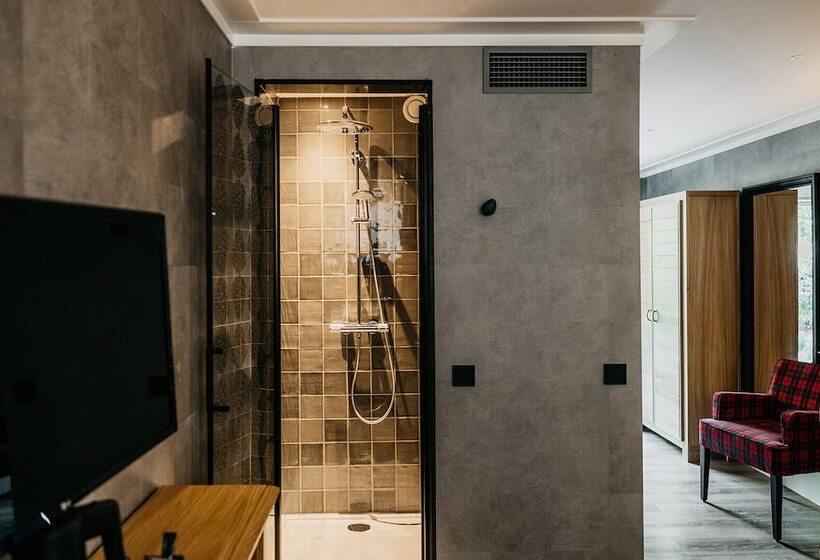 חדר סטנדרט, Badhotel Rockanje