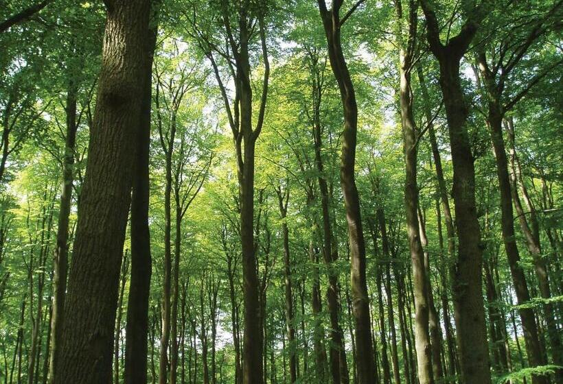 חדר משפחתי, Fletcher Boutique Hotel De Mallejan