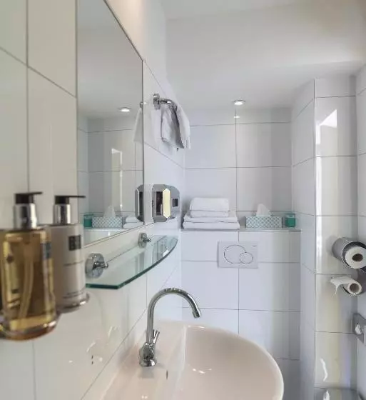 اتاق استاندارد با چشمانداز, Hoksbergen