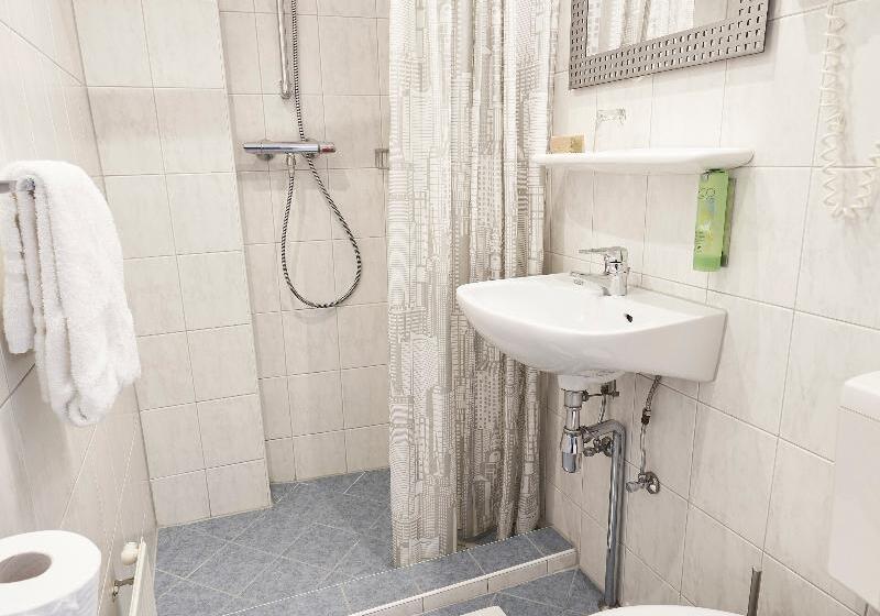 غرفة قياسية فردية, Van Walsum