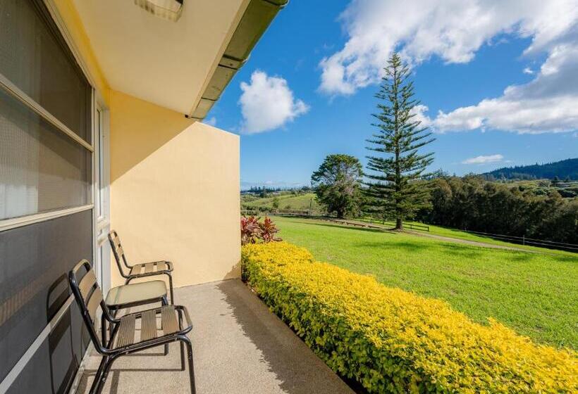 اتاق سوپریور با چشمانداز, South Pacific Resort