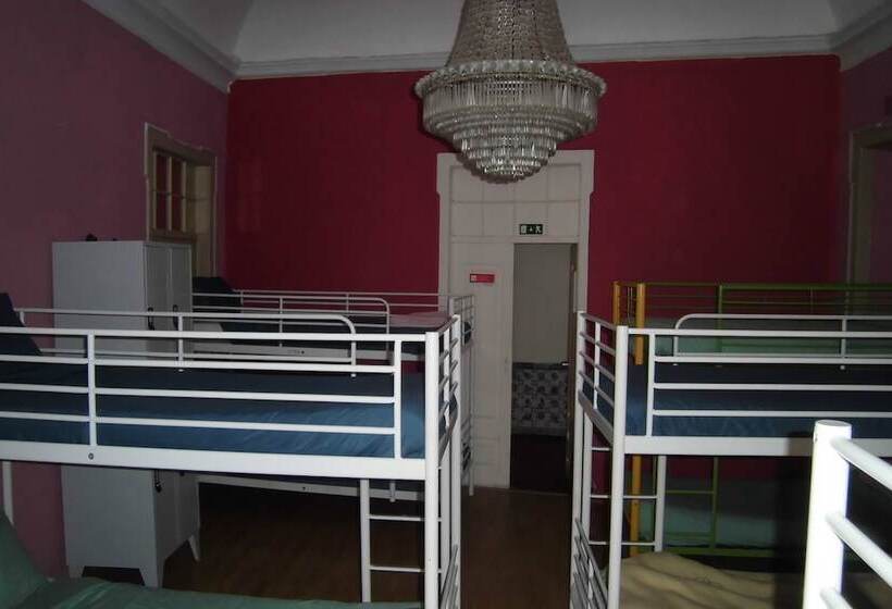 Номер Стандарт, Hostel The White Butterfly