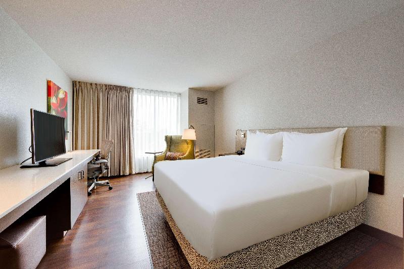 标准间, Praia Dourada