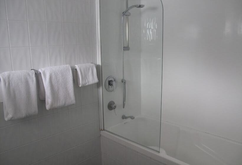 חדר סטודיו סטנדרד, Auto Lodge